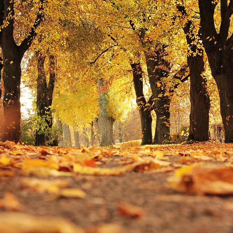 Spring Statement 2026 image